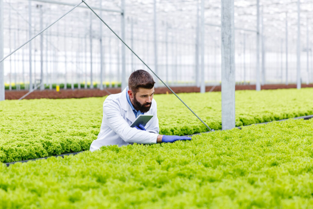 Does Conventional Farming Require Skill? 6 bearded male researcher studies plants with tablet standing greenhouse
