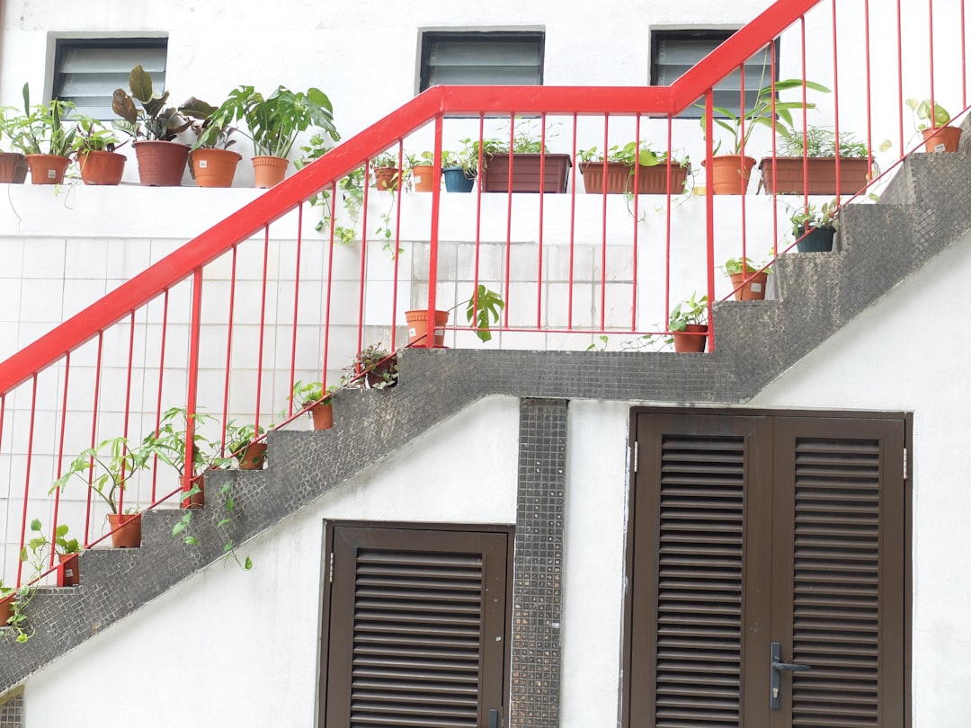 A stair case next to a building with potted plants