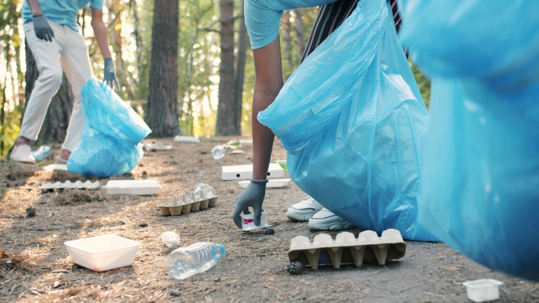 Volunteers cleaning up trash in a forest