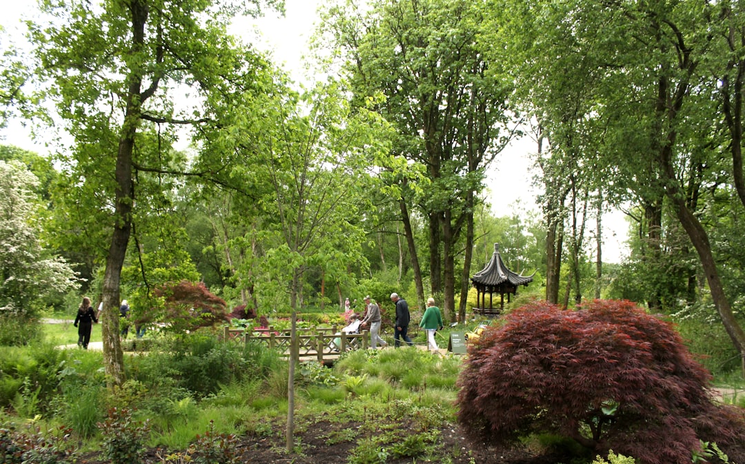 People stroll through a lush, green garden.