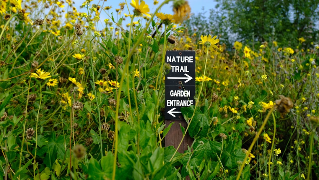 a sign in the middle of a field of wildflowers