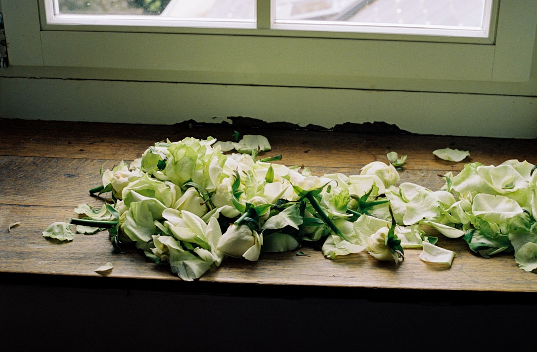 white petaled flower