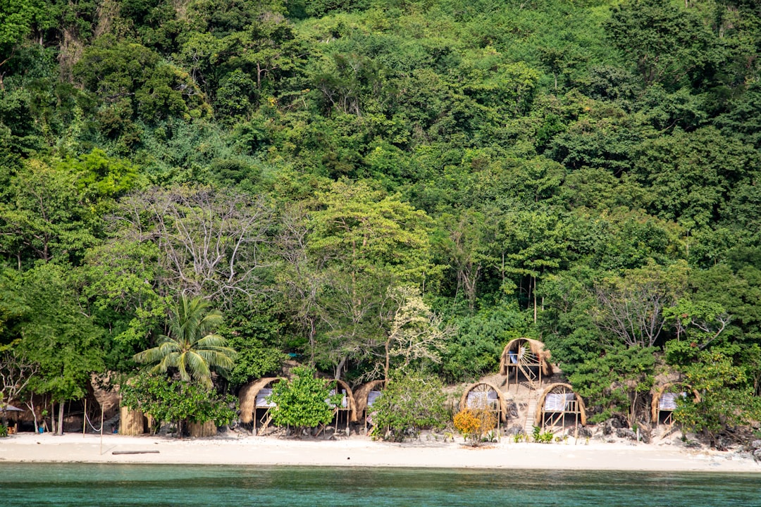 Secluded huts nestled amongst lush green jungle foliage.